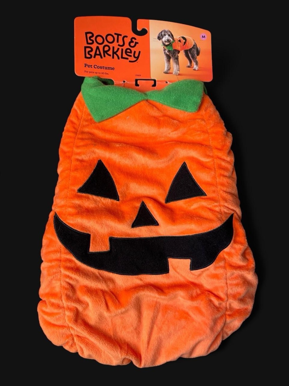Target Boots & Barkley Orange Pumpkin Pet Costume with Green Collar
